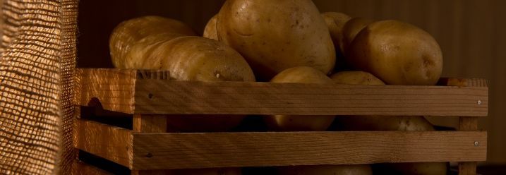 Kartoffeln liegen in einer Holzkiste in der Dunkelheit